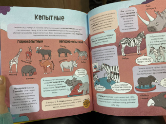Noodle Fuel: Звери. От броненосца до зебры. Самые невероятные факты, рекорды и достижения