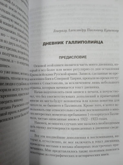 Николай Раевский: Дневник галлиполийца