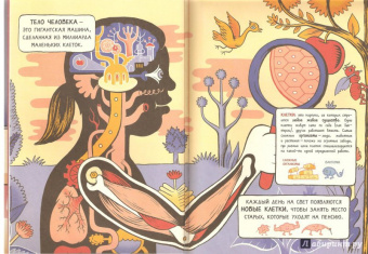 Маттео Фаринелла: Мозгоград