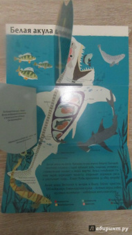 Боманн, Дюпон: Животные снаружи и внутри