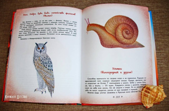 Наталия Немцова: Стражи леса. Сказки для почемучки