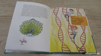 Альтер, Кан: Удивительная генетика