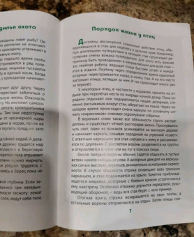 Татьяна Жданова: О том, как животные умеют дружить