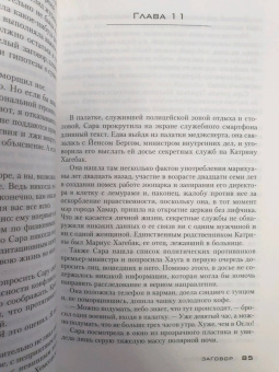 Николя Бегле: Заговор