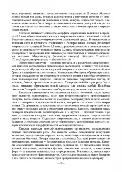 Сахно, Ватников, Шевченко: Экосистемы микроорганизмов. Учебное пособие для СПО