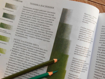 Энн Свон: Ботаническая иллюстрация цветными карандашами. Пошаговое руководство