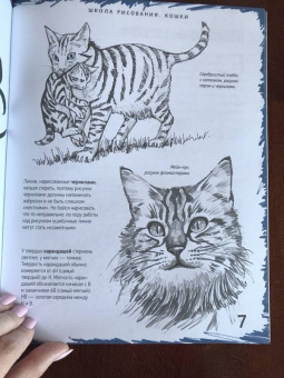 Марк Берджин: Школа рисования. Кошки