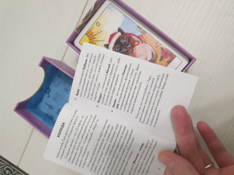 Котт Линн: Cat Tarot. Таро Котиков, 78 карт и руководство в подарочном футляре