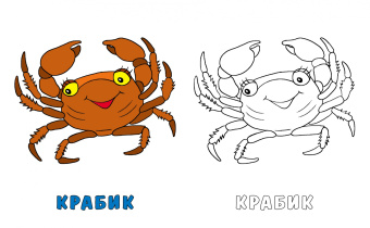 Раскраска Осьминожек и его друзья