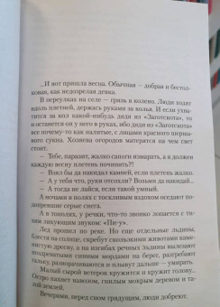 Василий Шукшин: Ваш сын и брат