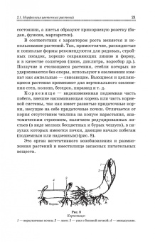 Шаламова, Крупина, Миникаев: Цветоводство. Практикум. Учебное пособие