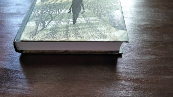 Мэри Лонгворт: Смерть на винограднике