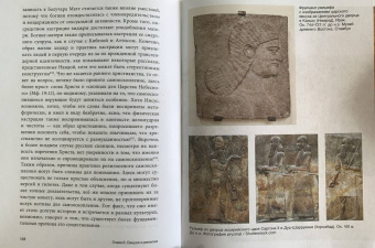 Шон Тафернер: Евнухи в Византии