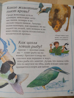 Малов, Альтшулер: Почему и отчего. Самые интересные детские вопросы