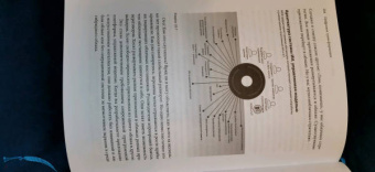 Томас Сибел: Цифровая трансформация. Как выжить и преуспеть в новую эпоху