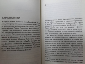 Иэн Макьюэн: Невыносимая любовь