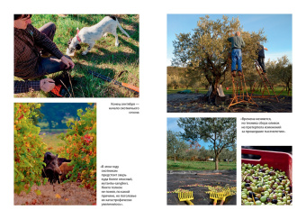 Питер Мейл: Еще один год в Провансе