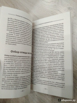 Разведение и выращивание уток, индоуток и гусей обычных пород и бройлеров