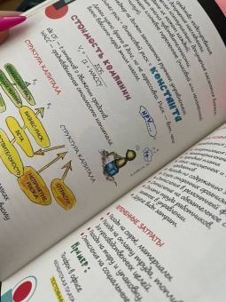 EMBA. Сколково. Фундамент