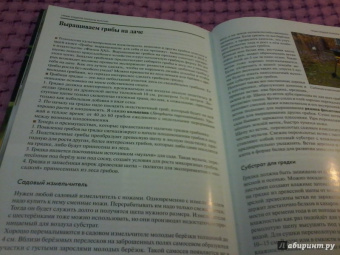 Федор Карпов: Грибы средней полосы России. Атлас-определитель