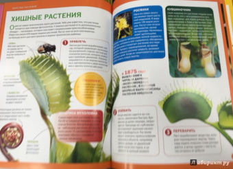 Отличная энциклопедия для классных девчонок