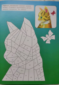 Котята и кошки