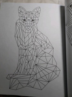 Раскраска-антистресс. Геометрические узоры