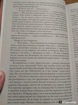 Маргарита Гришаева: Высшая правовая магическая академия. Тайны высшего света