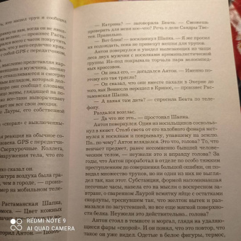 Ю Несбё: Полиция