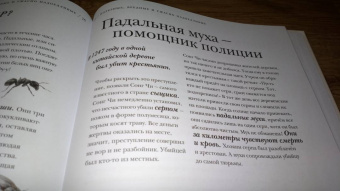 Барт Россел: Поразительные насекомые. Книга про подземных математиков, мастеров блефа, дружных кочевников, зомби