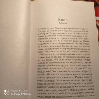 Ю Несбё: Леопард