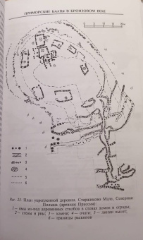 Мария Гимбутас: Балты. Люди янтарного моря