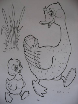 Татьяна Коваль: Домашние любимцы