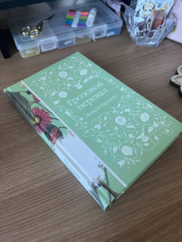 Эмили Бронте: Грозовой перевал