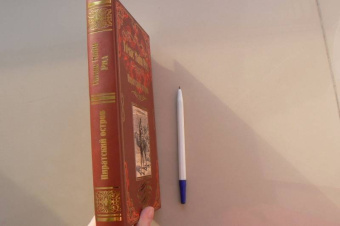 Рид Майн: Пиратский остров. Молодые невольники