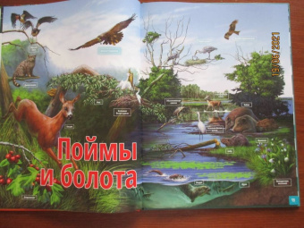Жизнь животных. Реки и озера