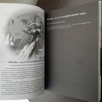 Таппэй Нагацуки: Re:  Zero. Жизнь с нуля в альтернативном мире. День в столице королевства. Том 2