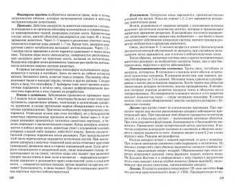 Косминков, Лайпанов, Домацкий: Паразитология и паразитарные болезни сельскохозяйственных животных. Учебник