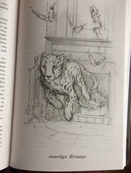 Ирина Котова: Королевская кровь. Расколотый мир