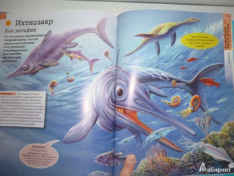 Кармен Родригес: Подводный мир. Иллюстрированная энциклопедия