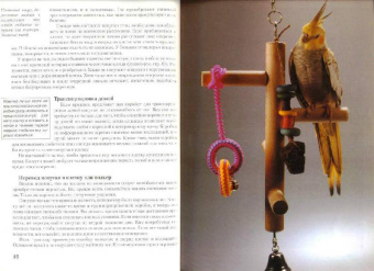 Курт Колар: Кореллы. Содержание и уход