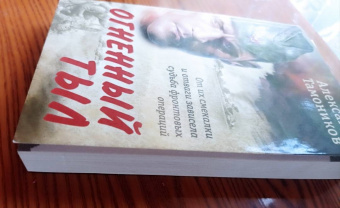 Александр Тамоников: Огненный тыл