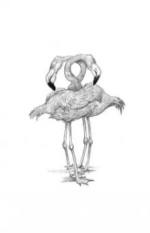 Крис Ридделл: 100 объятий