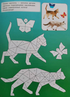 Котята и кошки