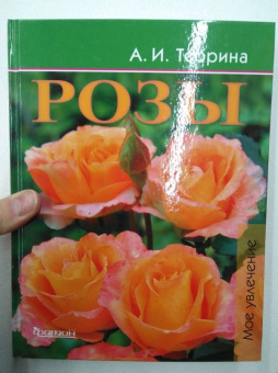 Александра Теорина: Розы. Моё увлечение