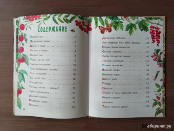 Николай Сладков: Лесные сказки