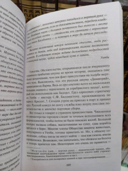 Брэм Стокер: Дракула