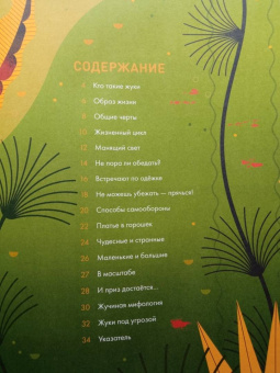 Оуэн Дэйви: Без ума от жуков