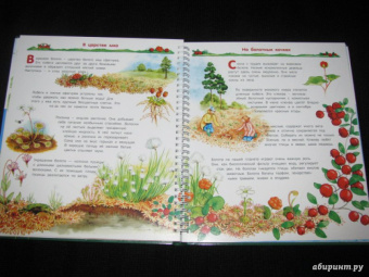 Татьяна Елумеева: Растения