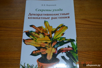 Валентин Воронцов: Секреты ухода. Декоративнолистные комнатные растений